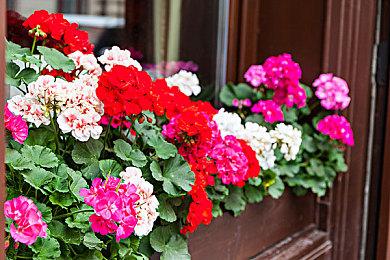 《哆啦A梦的铜锣烧店物语》登陆PS4＆Xbox平台